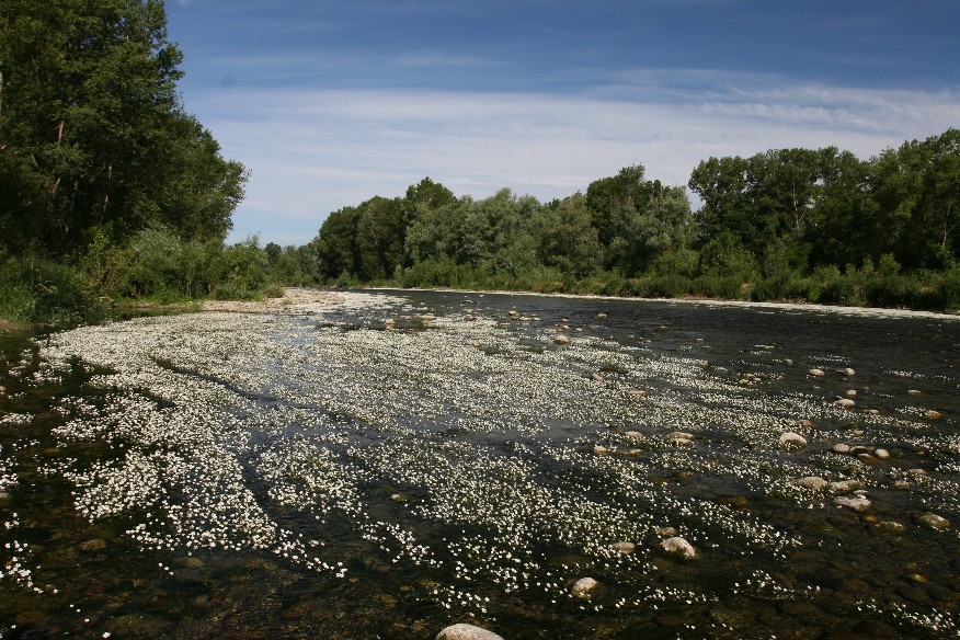 Fiume Oglio